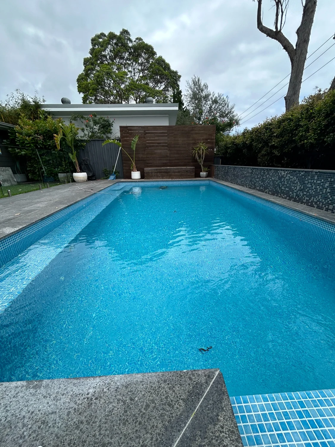 Completed pool restoration